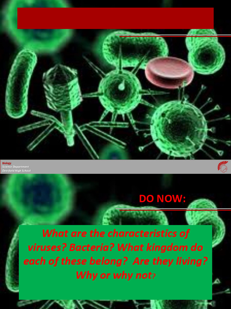 Bacteria and Viruses | PDF | Virus | Bacteria