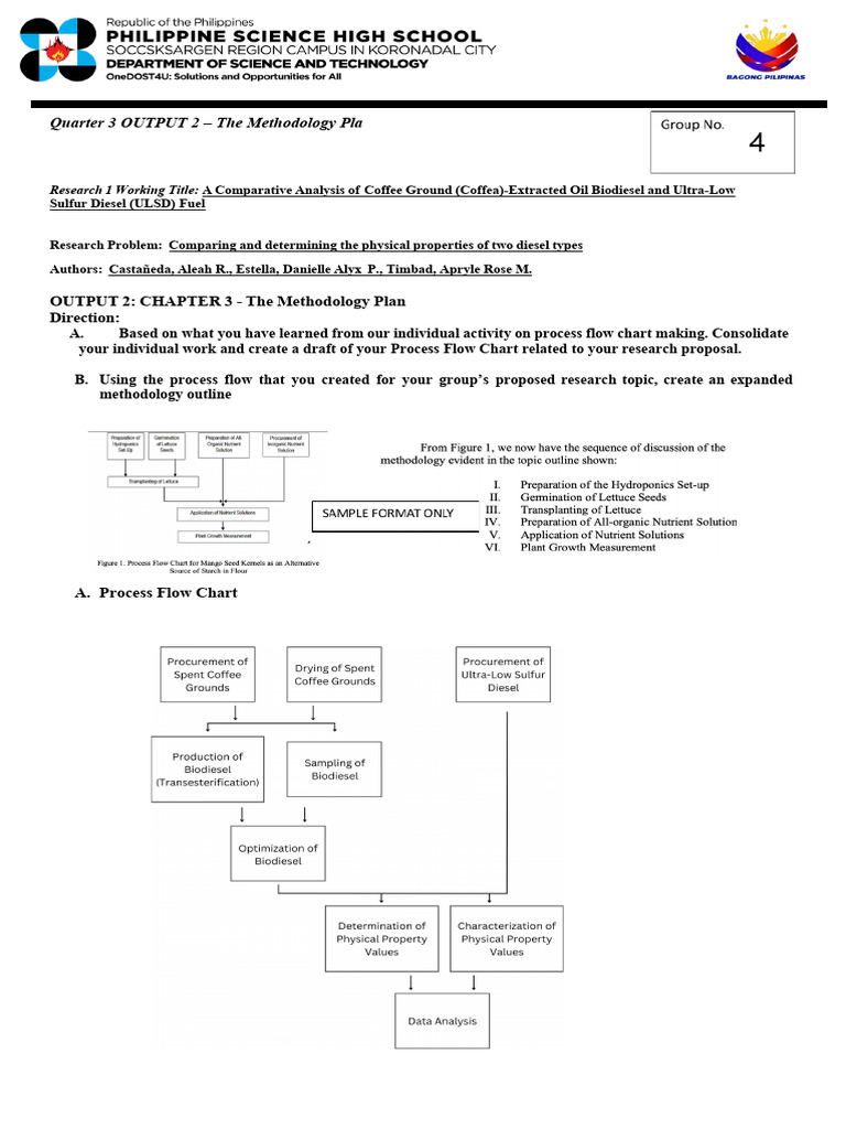 Q3 Output The Methodology Plan Sample Output | PDF | Biodiesel | Diesel ...