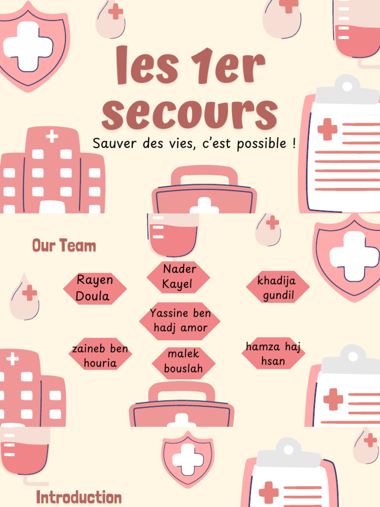 SECOURISME | PDF | Réanimation cardio-pulmonaire | Sécurité publique