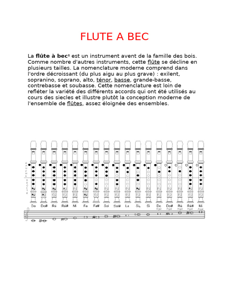 Flute A Bec | PDF
