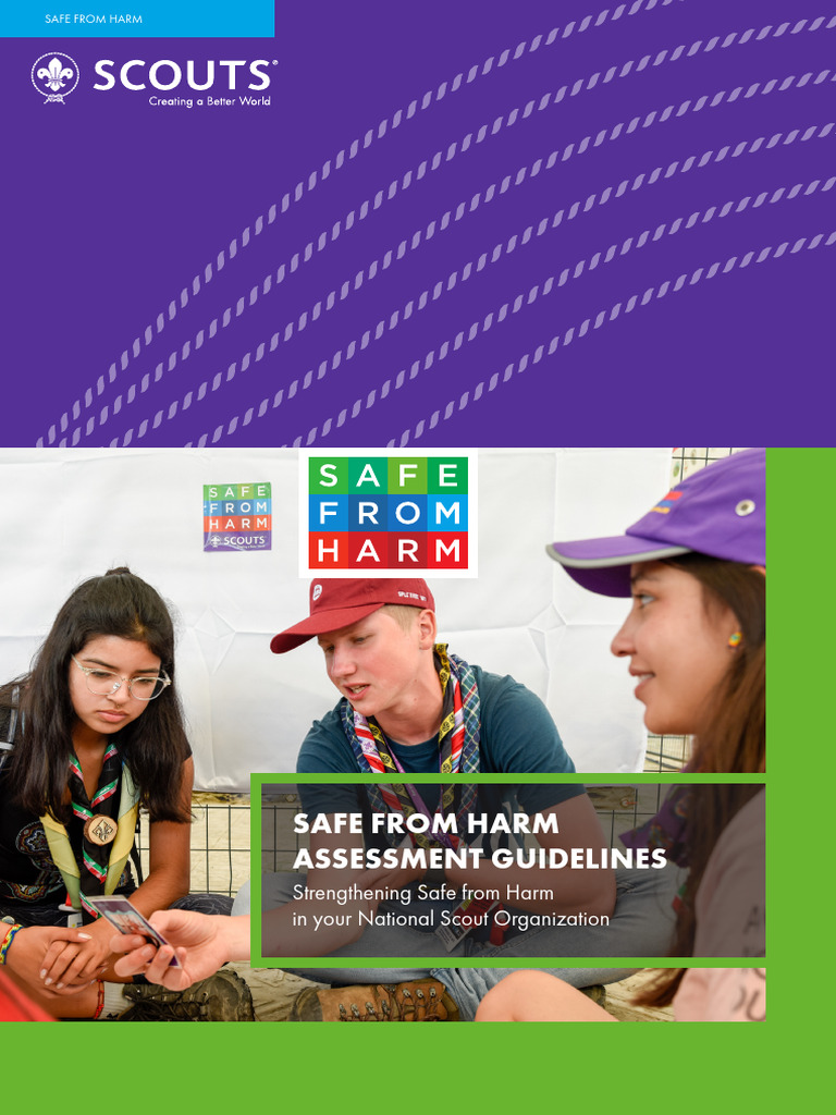 SFH Assessment Guidelines | PDF