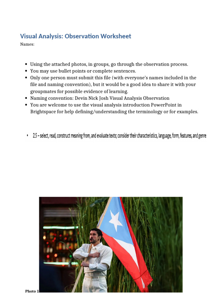 Visual Analysis Obs. | PDF