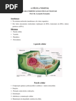 A Célula vegetal - Prof Leonardo