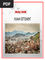 Settlement Types and Hierarchy Explained | PDF | City | Village