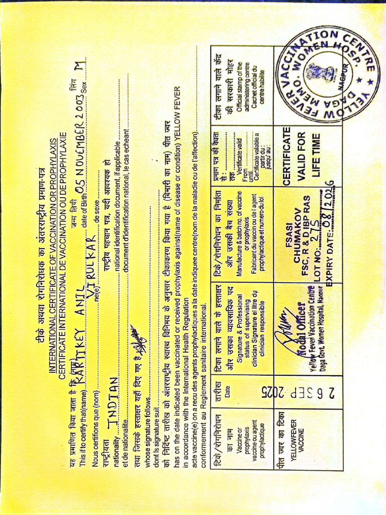 Yellow Fever | PDF