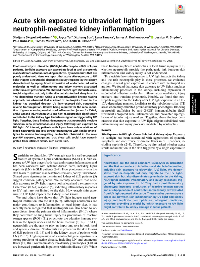 Skopelja Gardner Et Al 2021 Acute Skin Exposure to Ultraviolet Light ...