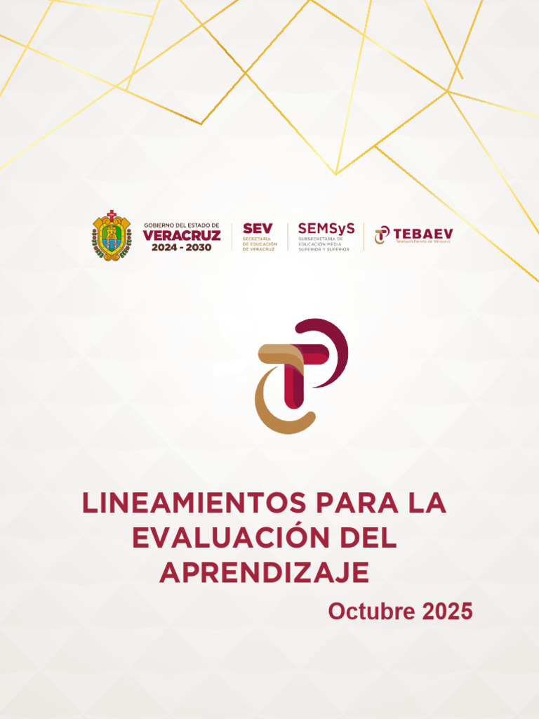 Lineamientos para La Evaluación Del Aprendizaje 2025 | PDF | Plan de ...