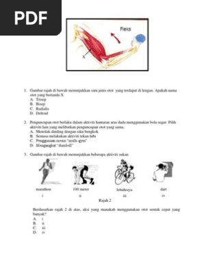 Latihan Otot Pdf