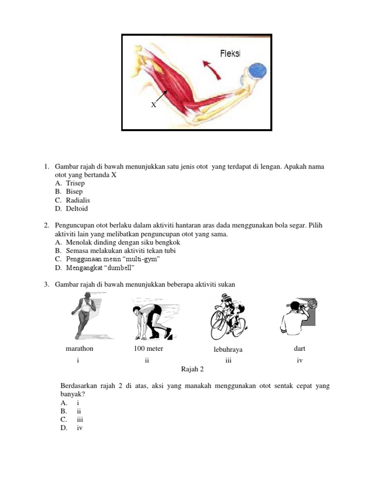 Latihan Otot Pdf