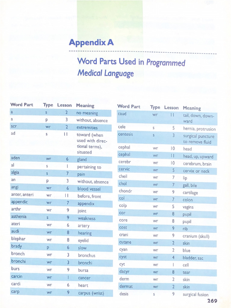 Word Part Terminology | PDF