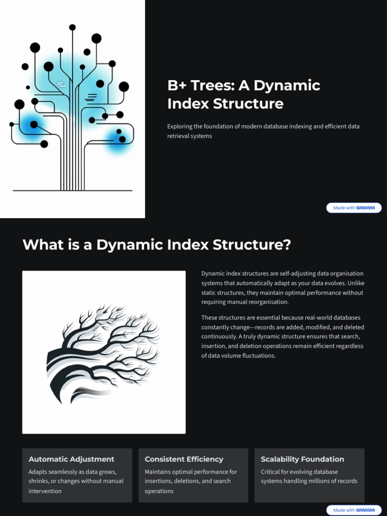 B Trees A Dynamic Index Structure | PDF | Databases | Database Index