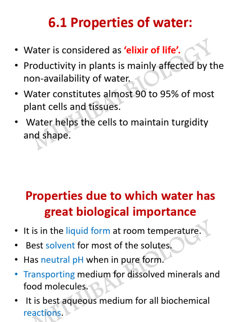 Plant Water Relation - Part 1 | PDF | Osmosis | Diffusion