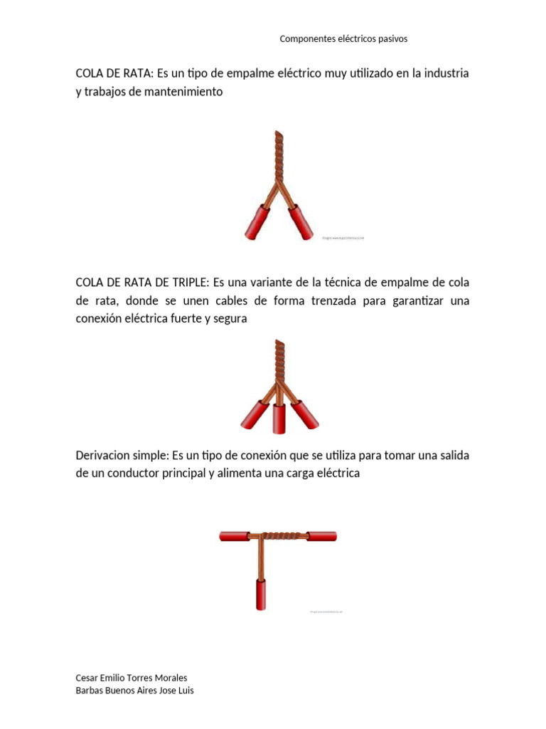 Cola de Rata | PDF