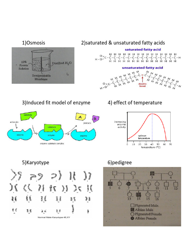 Most Important Diagrams | PDF