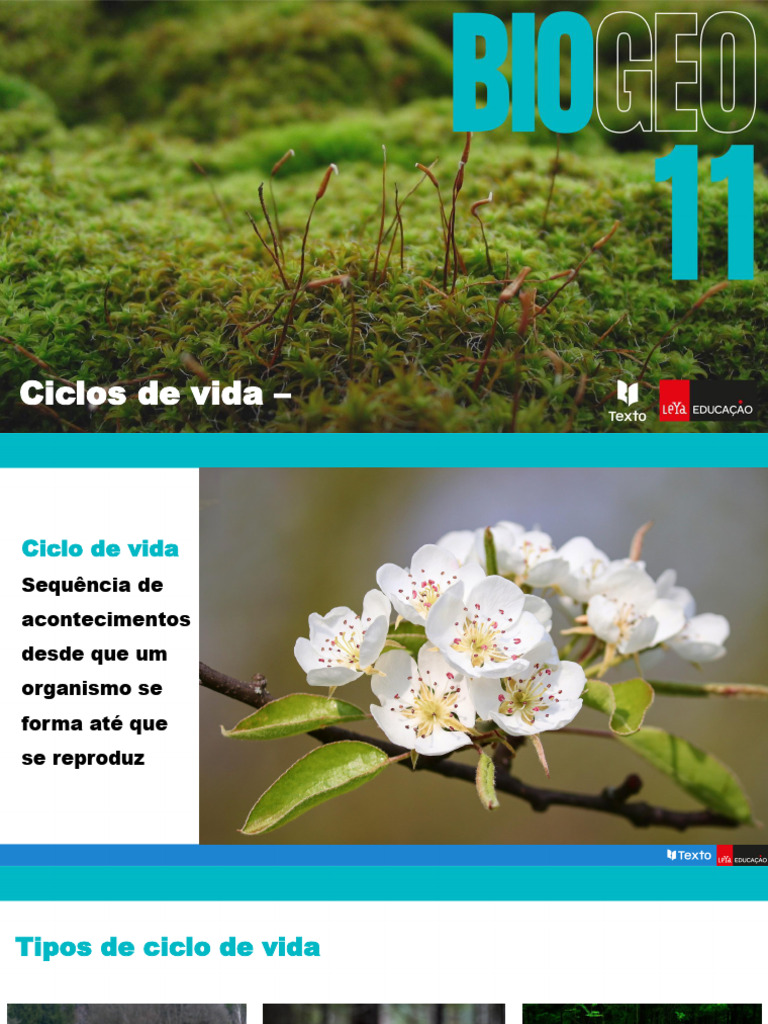 Ciclos de Vida - Haplonte e Diplonte | PDF | Meiose | Ploidia