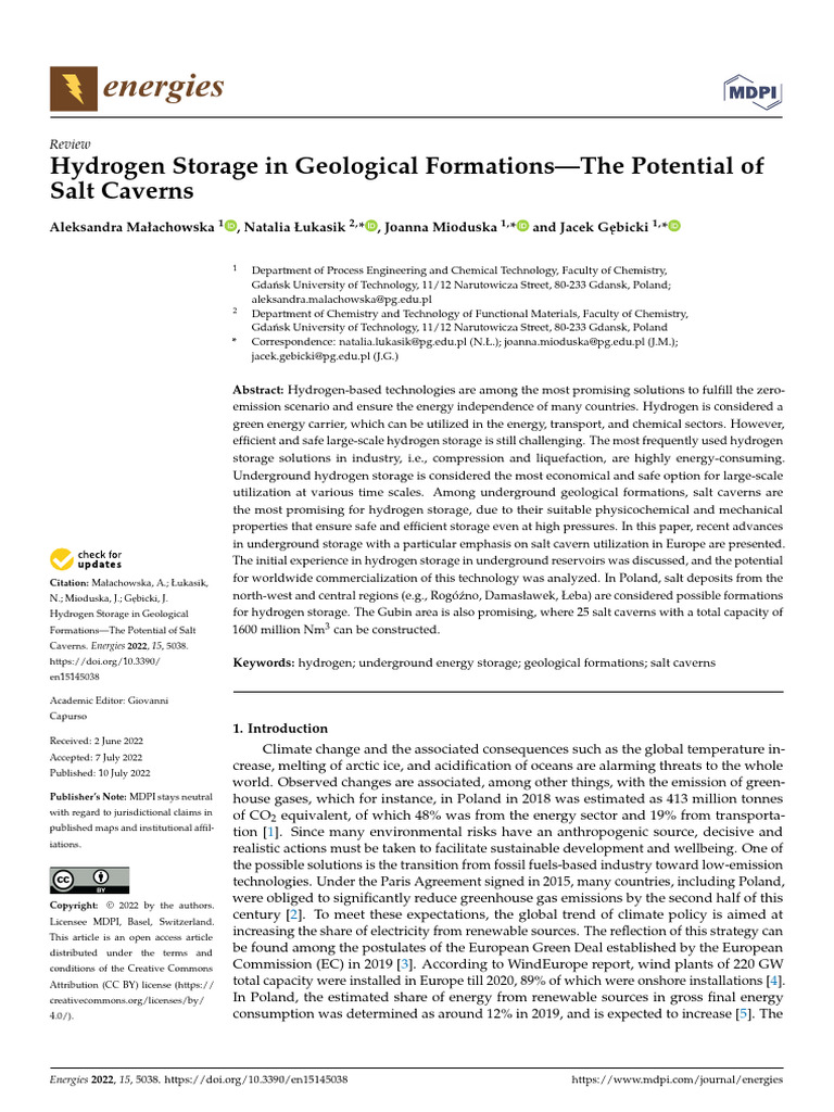 Hydrogen Storage in Geological Formations The Potential of Salt Caverns ...