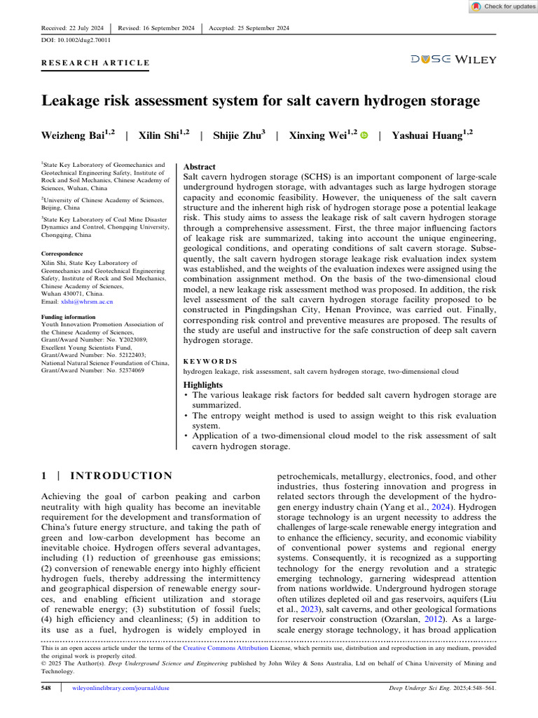 Leakage Risk Assessment System for Salt Cavern Hydrogen Storage | PDF ...