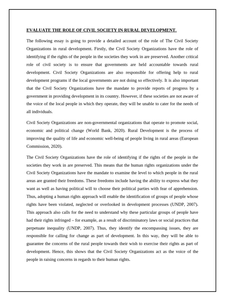 DIANA ... Civil Society | PDF | Non Governmental Organization ...