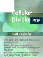 Cell Cycle & Cell Division