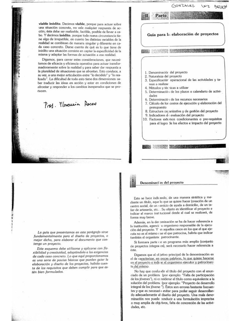 Guia para La Elaboracion de Proyectos Profesorados | PDF