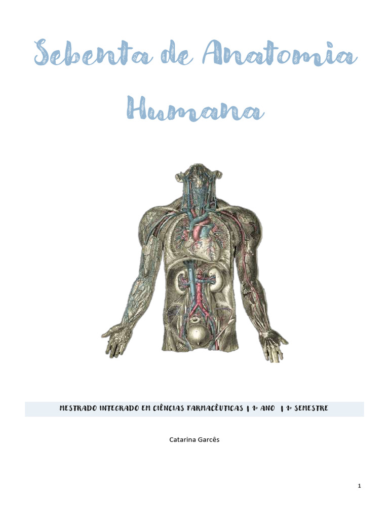 Sebenta de Anatomia | PDF