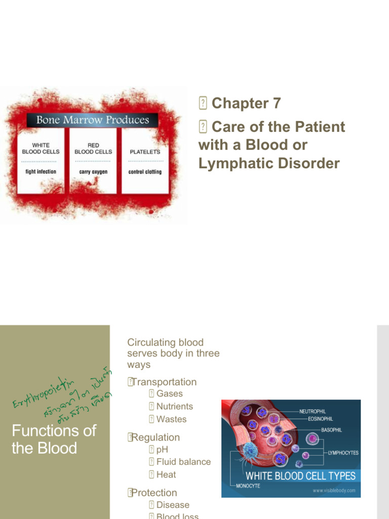 Lymph+and+Blood+Chapter+7+Up+Date+2020 | PDF