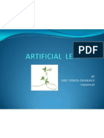 Artificial Leaf