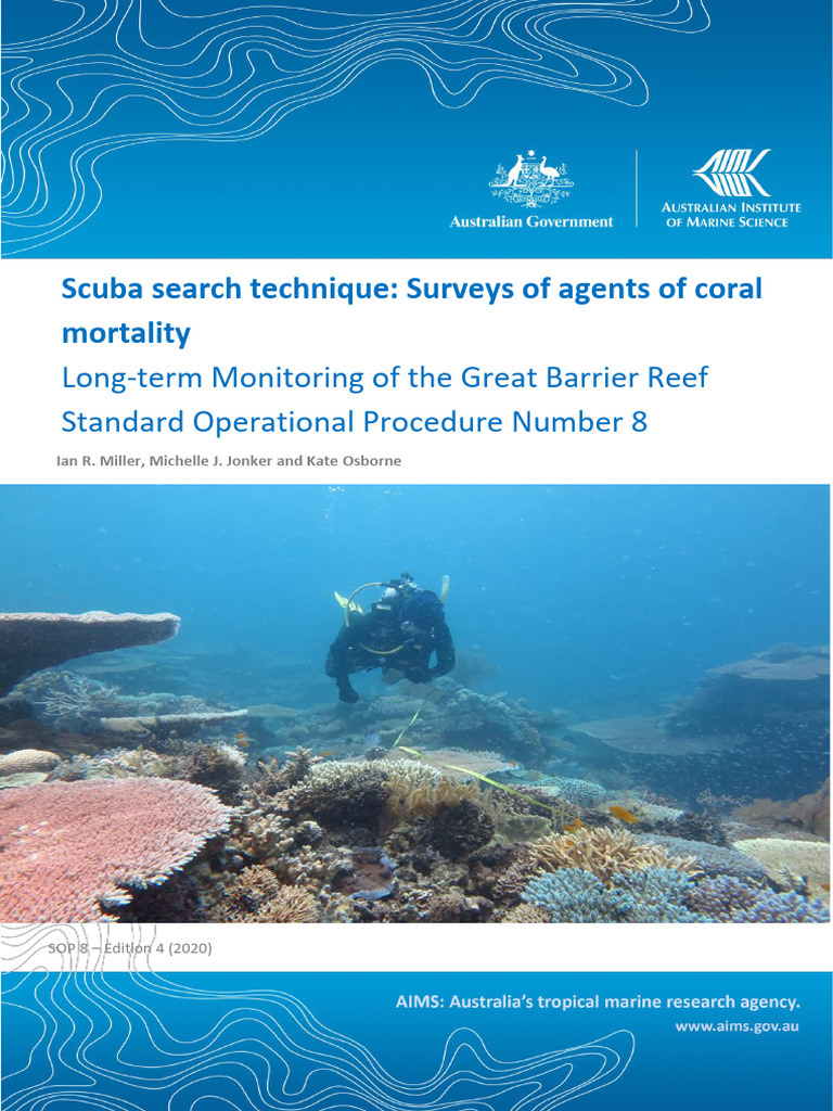 Scuba Search Techniq | PDF