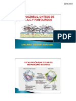 Clase Nº 24 - Lipogenesis