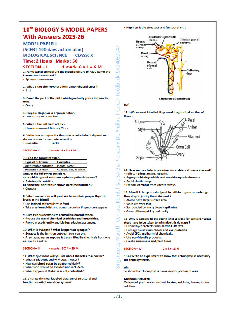 10 Bs em 5 Model Papers Scert 2025-26 | PDF