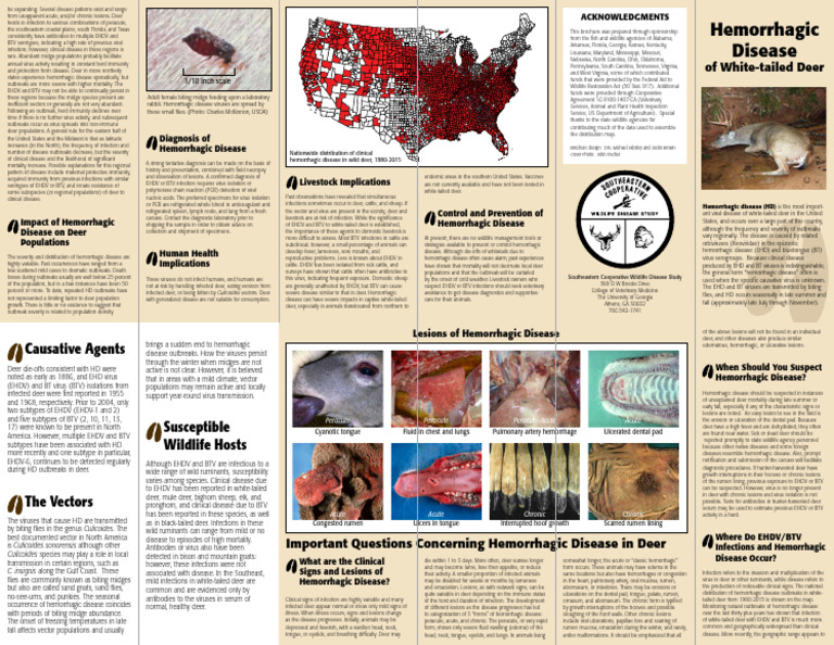 Hemorrhagic Deer Brochure V2 | PDF | Infection | Virus