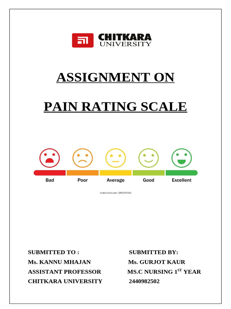 Assignment on Rating Scale | PDF
