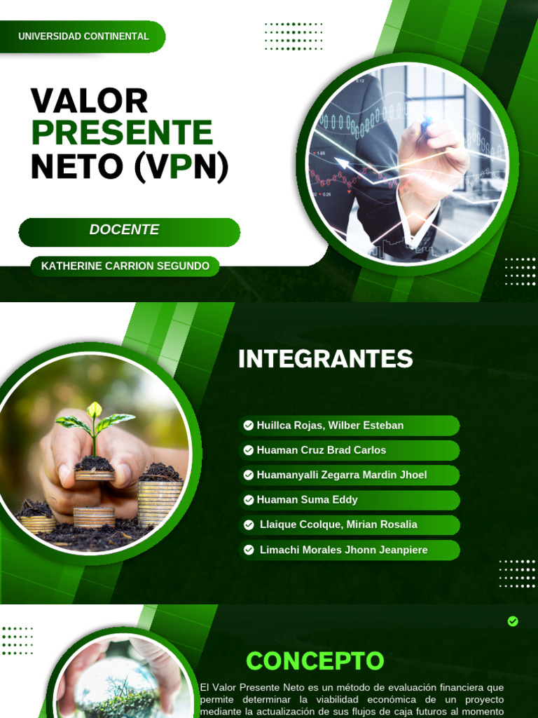 VPN 20260214 001315 0000 | PDF | Valor presente neto | Economias