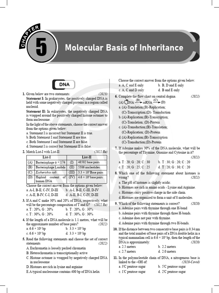 02 - Molecular Basis of Inheritance | PDF | Operon | Dna