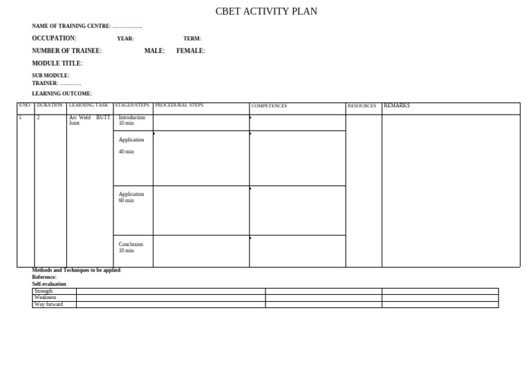 Sample Activity Plan | PDF