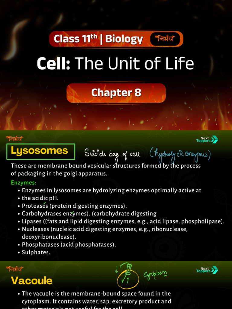 bio ch 8 | PDF