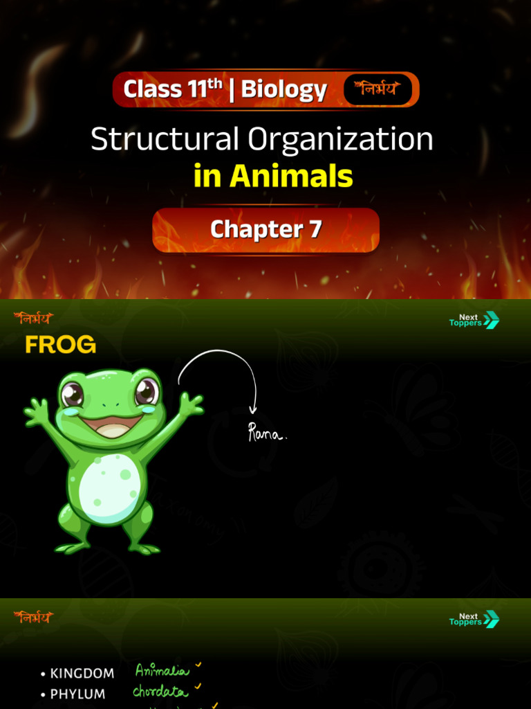 bio ch 7 | PDF