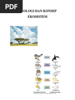 Download Ekologi Dan Konsep Ekosistem by Diah Hikmah SN99773884 doc pdf