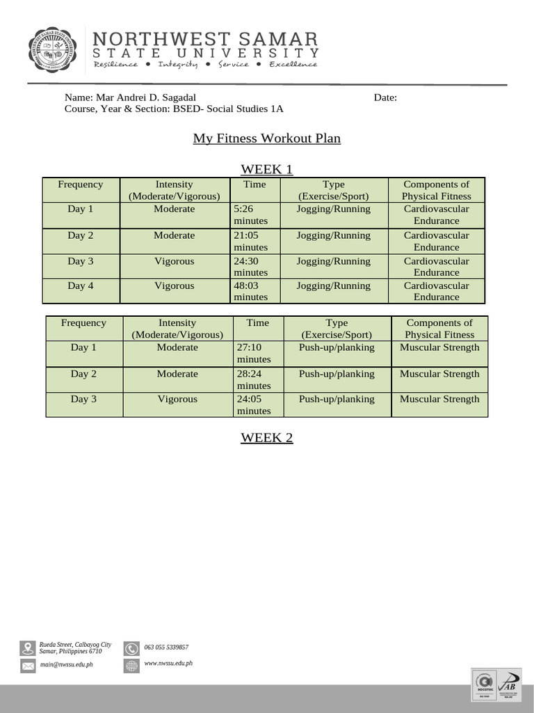 Fitness Plan | PDF