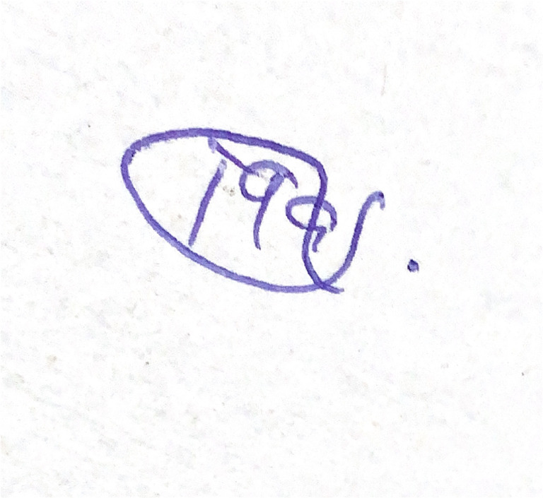 Signature 2 | PDF