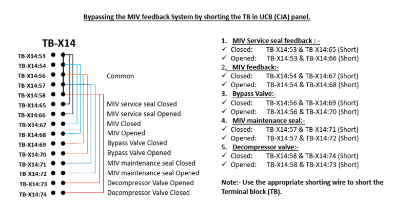 MIV System Bypass | PDF