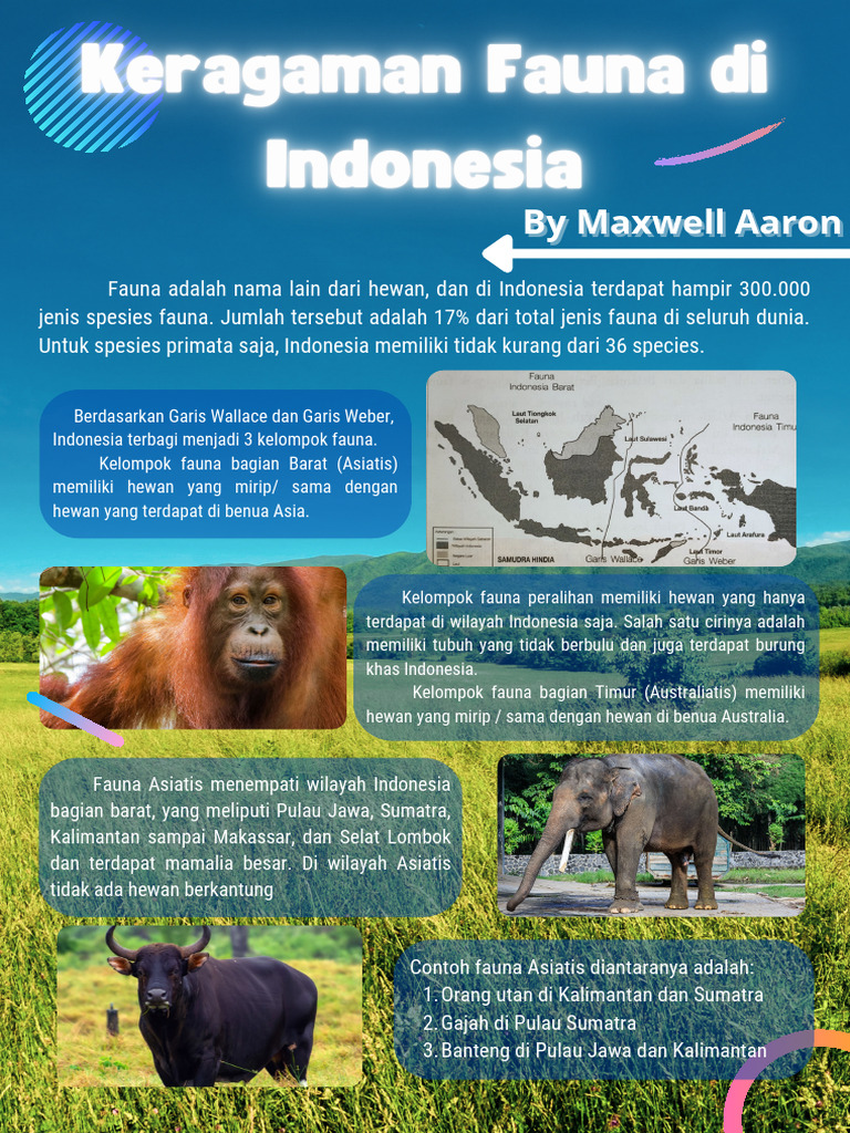 Keragaman Fauna Di Indonesia - Maxwell Aaron | PDF
