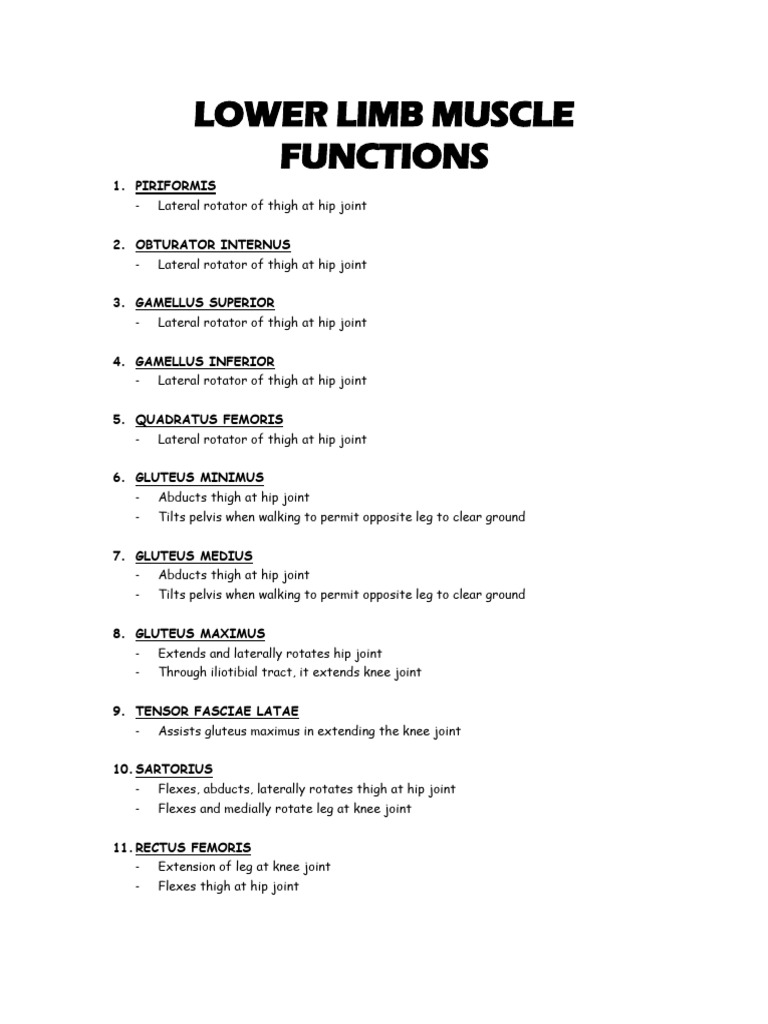 Lower Limb Muscle Functions - 0 | PDF | Foot | Human Leg