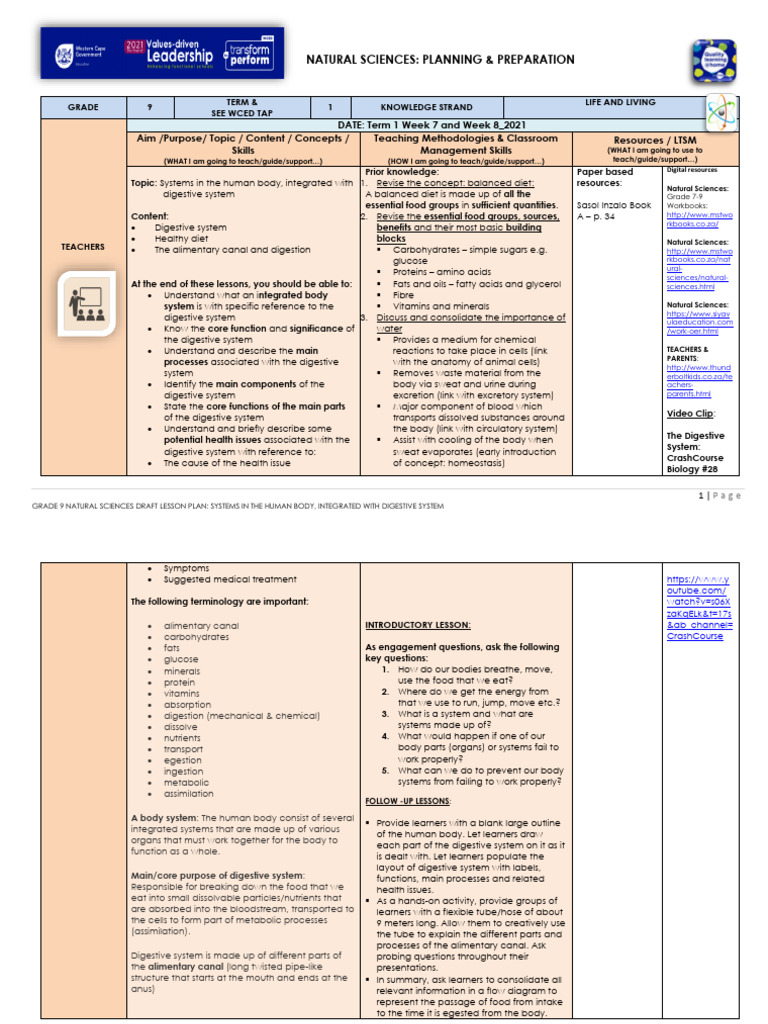 Lesson Plan - 2 Gr. 9 Natural Sciences T1 W7 & W8 | PDF | Digestion ...