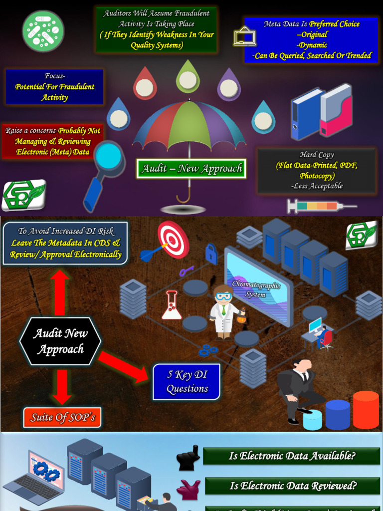 Audit New Approach and Lesson | PDF