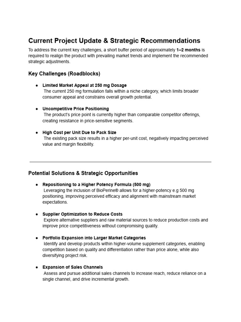 Current Project Update & Strategic Recommendations | PDF