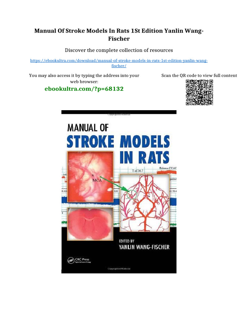 Manual of Stroke Models in Rats 1st Edition Yanlin Wang-Fischer Online ...
