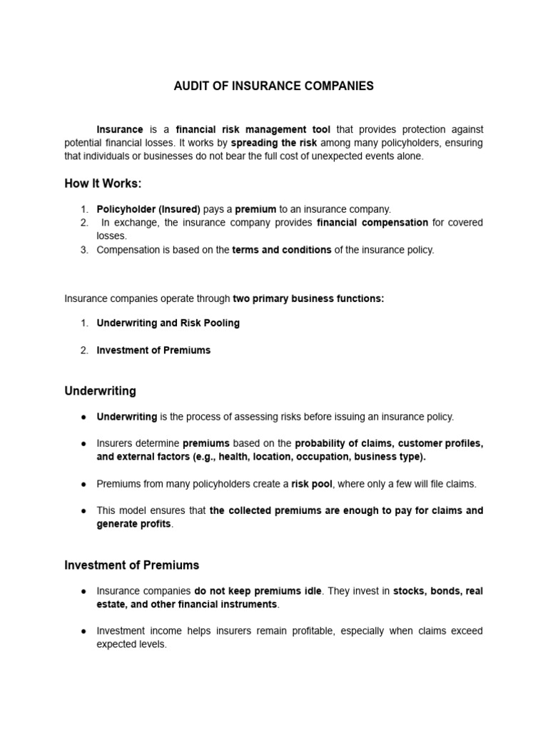 Audit of Insurance Companies- Report Outline | PDF | Insurance ...