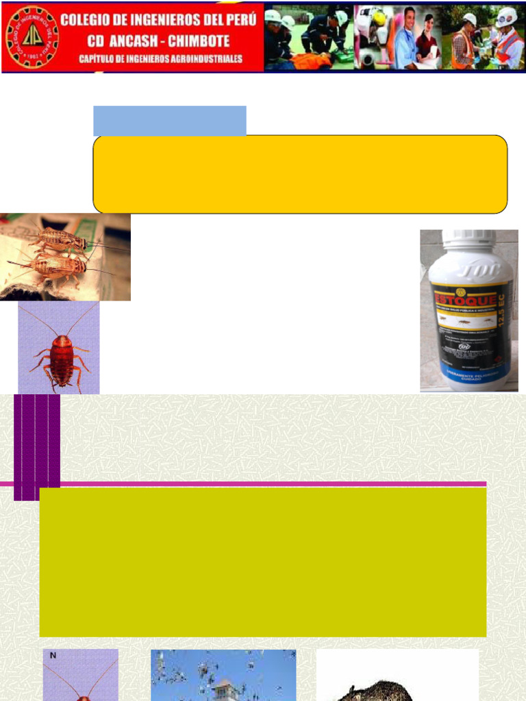 Control de Plagas | PDF | Pesticida | Insectos