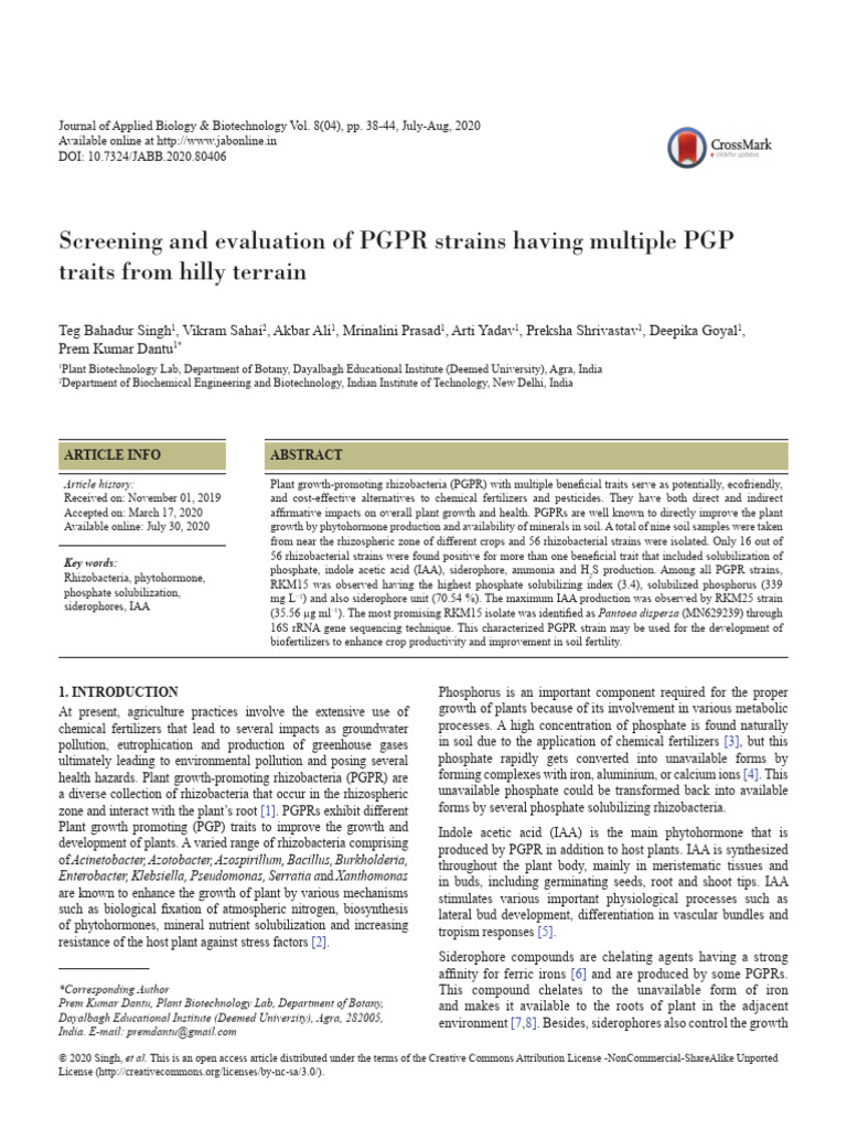 Screening and Evaluation of PGPR Strains | PDF | Polymerase Chain ...